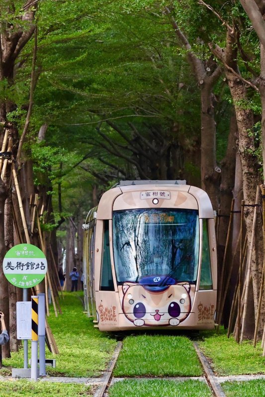 我們都是愛樹人　從工程護樹到科技監測　捷運局持續守護輕軌綠色廊道
